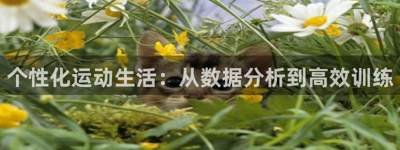 ug环球官网