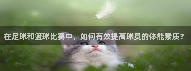ug环球官网注册：在足球和篮球比赛中，如何有效提高球员的体能素质？