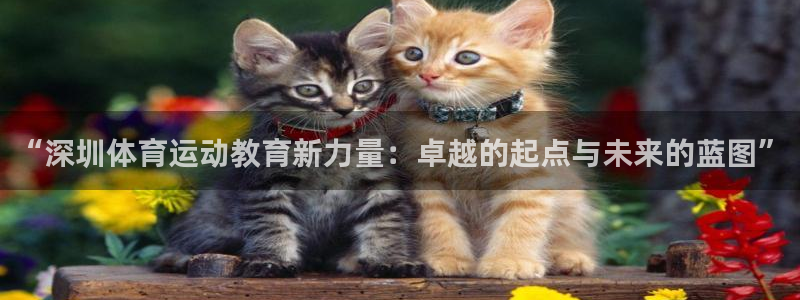 ug环球官网登录入口
