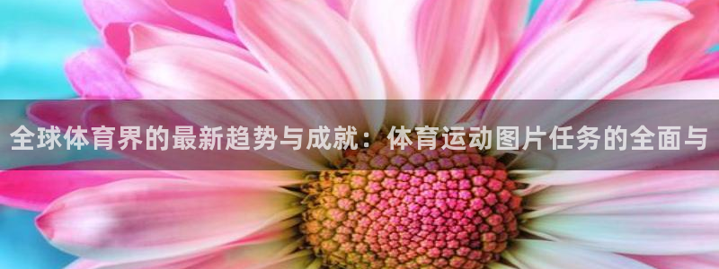 ug环球官网登录入口：全球体育界的最新趋势与成就：体育运动图片任务的全面与