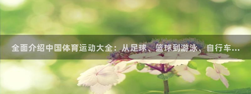 ug环球官网登录入口：全面介绍中国体育运动大全：从足球、篮球到游泳、自行车...
