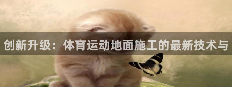 菲律宾ug环球官网：创新升级：体育运动地面施工的最新技术与