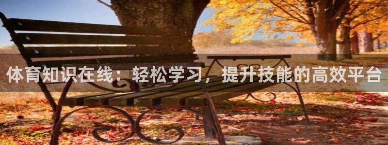 菲律宾ug环球官网：体育知识在线：轻松学习，提升技能的高效平台