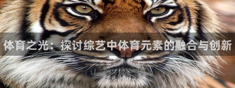 菲律宾ug环球官网：体育之光：探讨综艺中体育元素的融合与创新