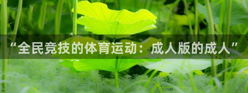 ug环球官网注册：“全民竞技的体育运动：成人版的成人”